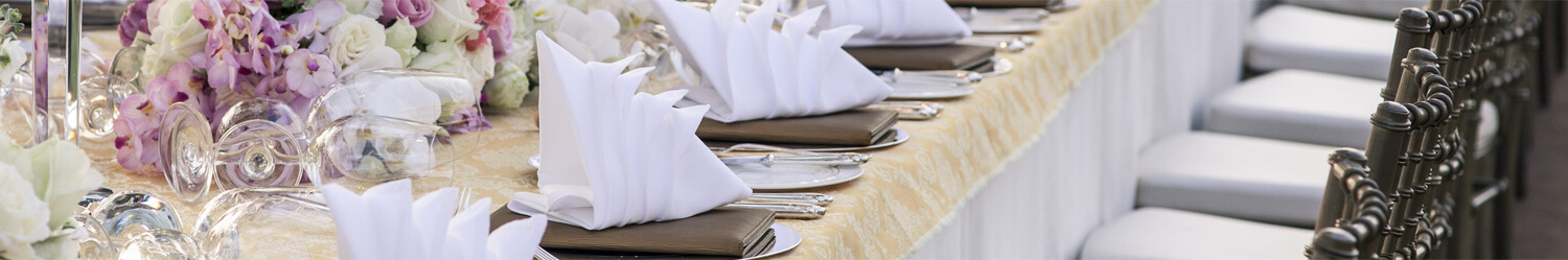 Fornitura Attrezzatura Catering per Ricevimenti