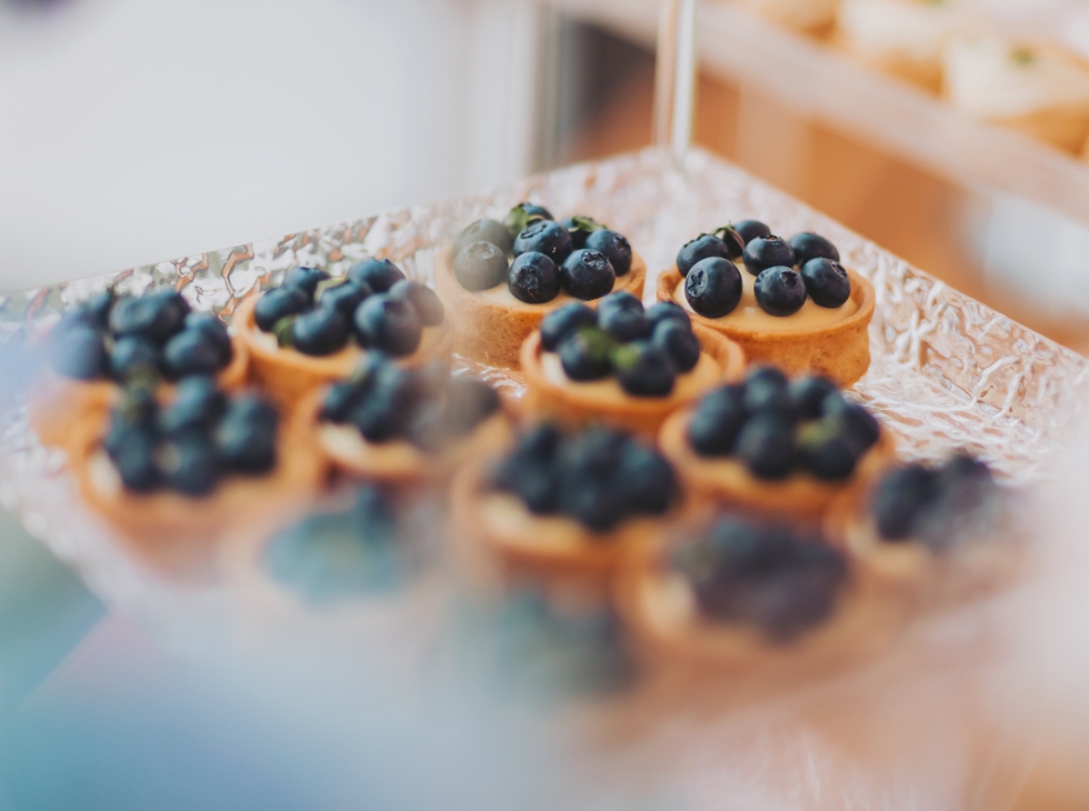 Aziende vitivinicole e cantine