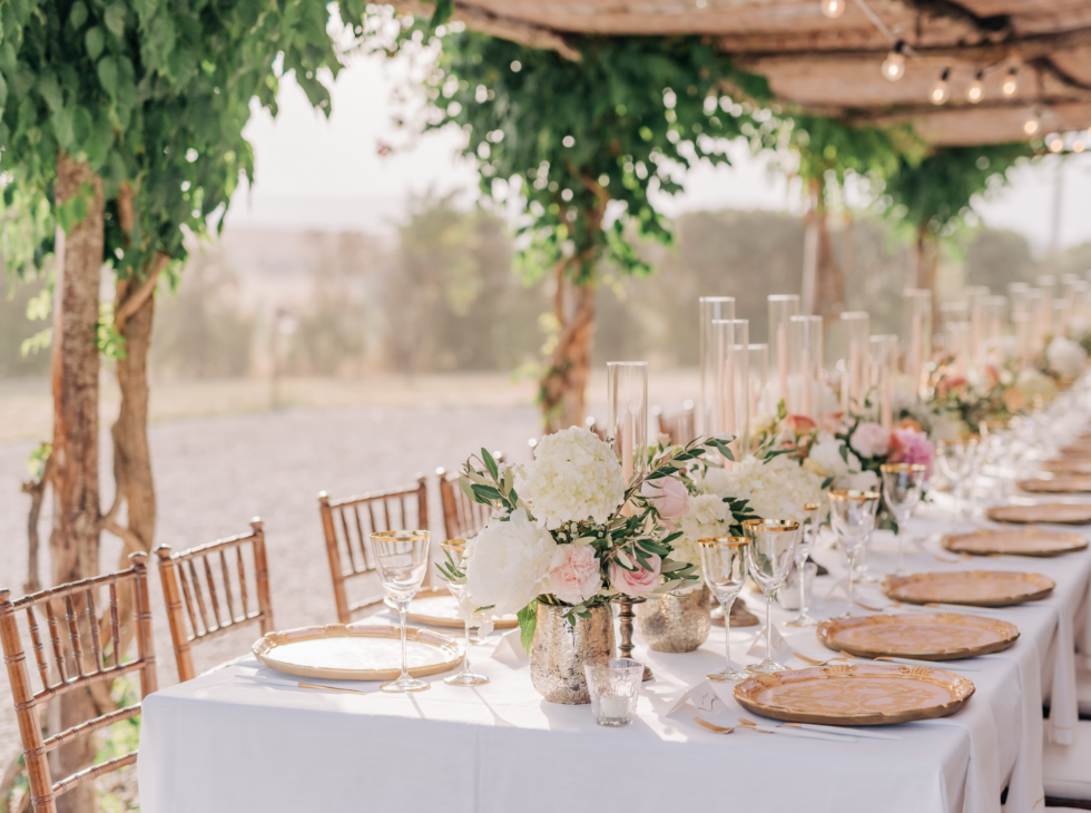 Aziende vitivinicole e cantine