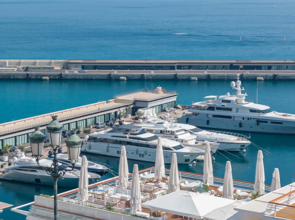 Aziende vitivinicole e cantine