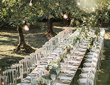 Fornitura Attrezzatura Catering per Matrimonio in uliveto