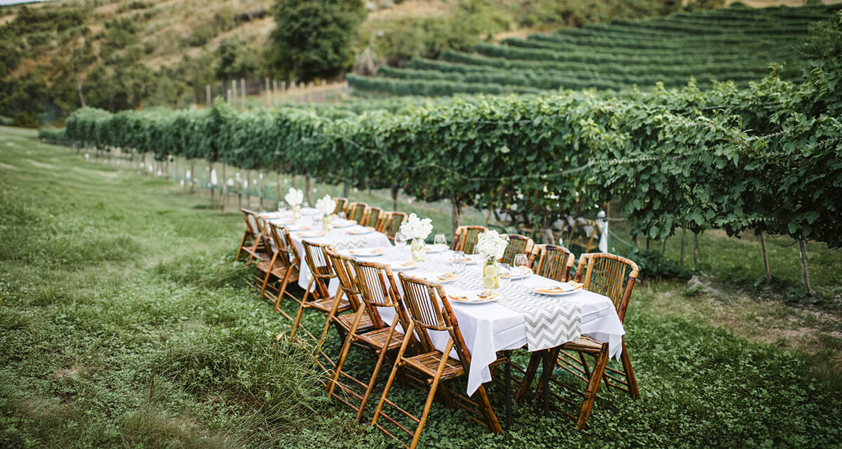 Aziende vitivinicole e cantine