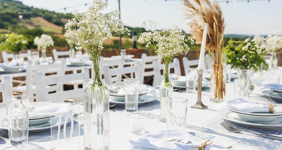 Aziende vitivinicole e cantine