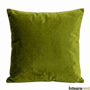 Noleggio Cuscino Velluto Verde Erba