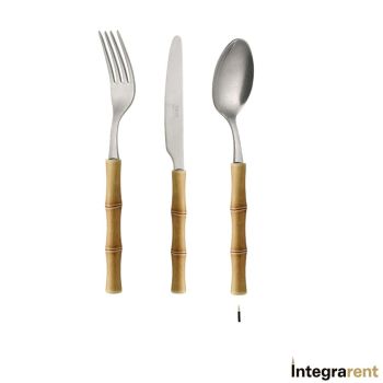 Integra Rent